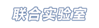 联合实验室